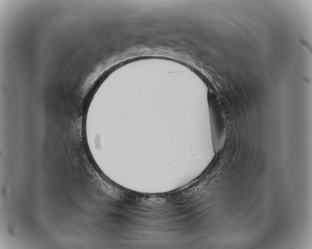 X0000096671503200803041210