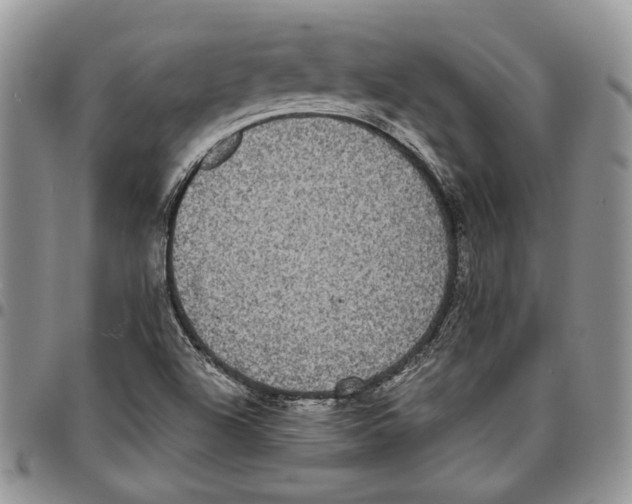 X0000096671504200803041210