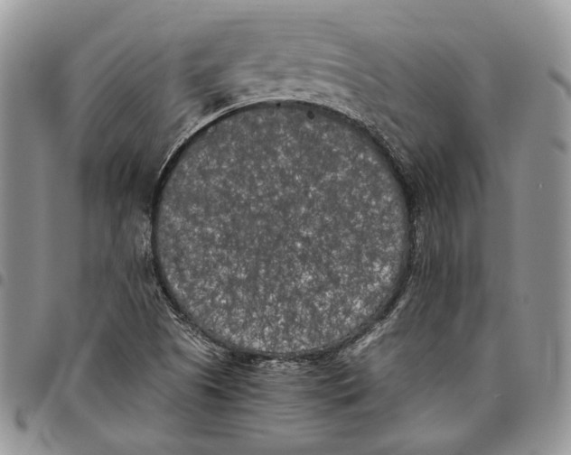 X0000096671505200803041210