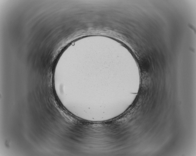 X0000096671507200803041210