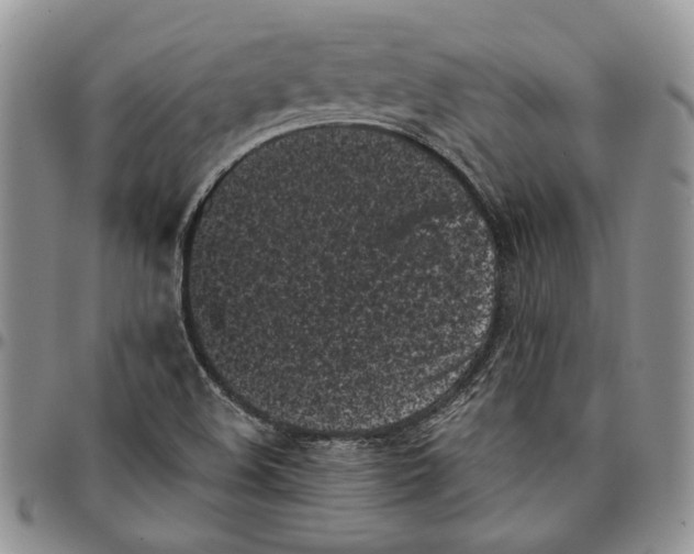 X0000096671508200803041210