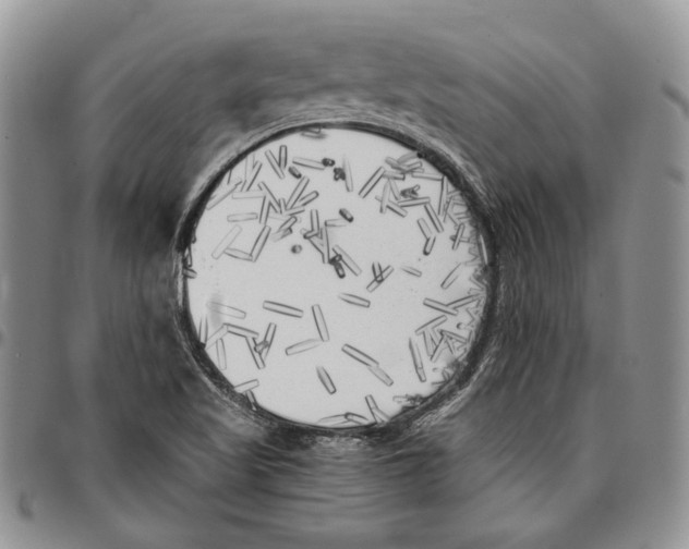 X0000096671509200803041210