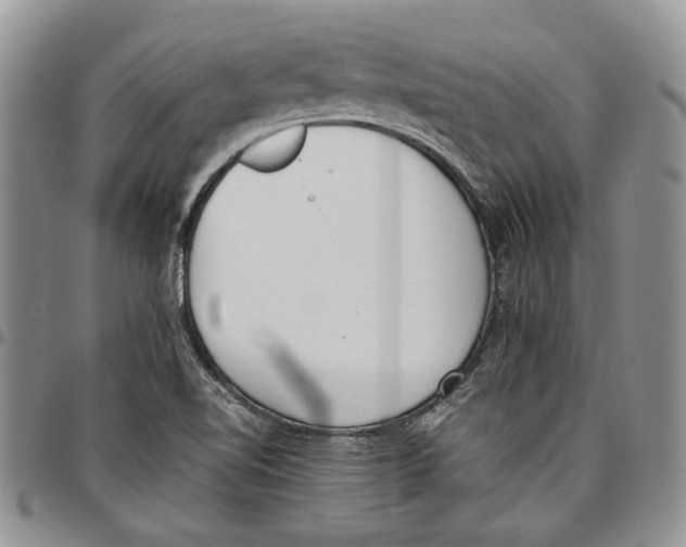 X0000096671510200803041210