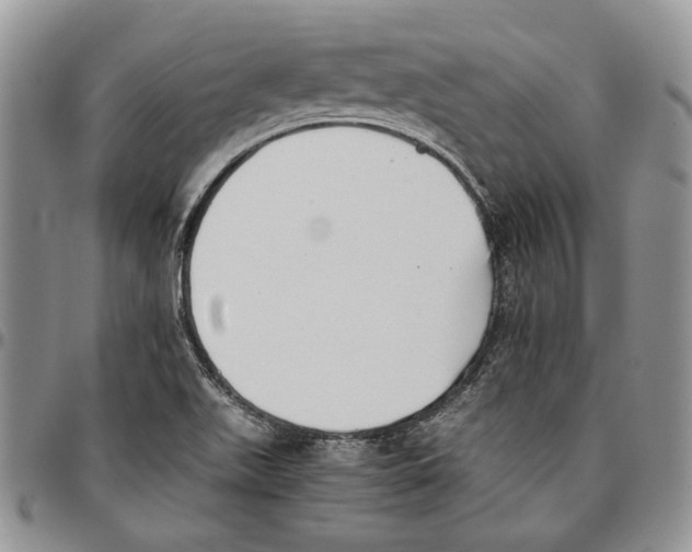 X0000096671511200803041210