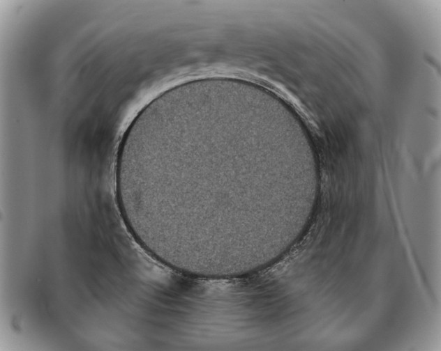 X0000096671512200803041210