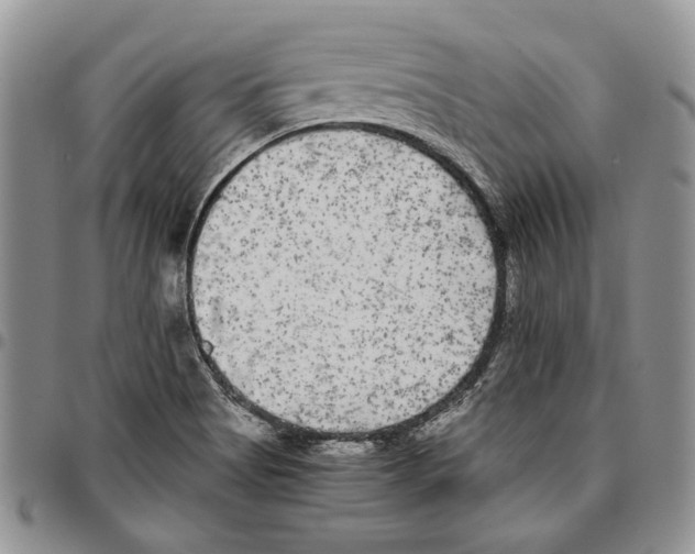 X0000096671513200803041210