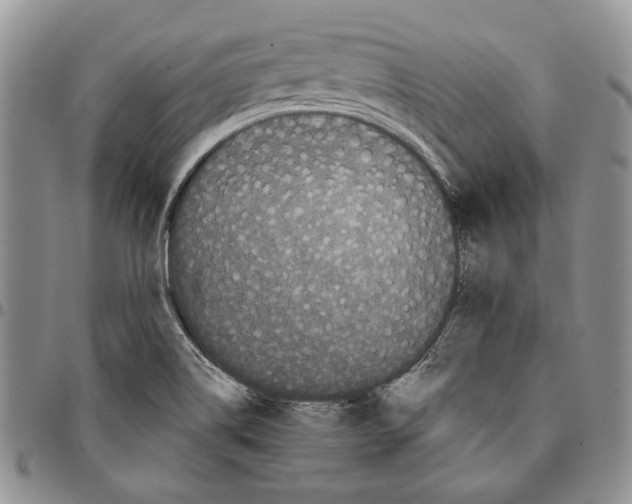 X0000096671514200803041210