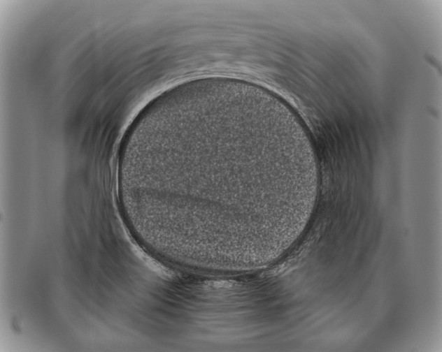 X0000096671515200803041210