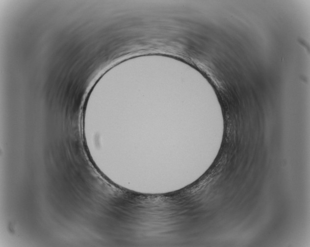 X0000096671516200803041210