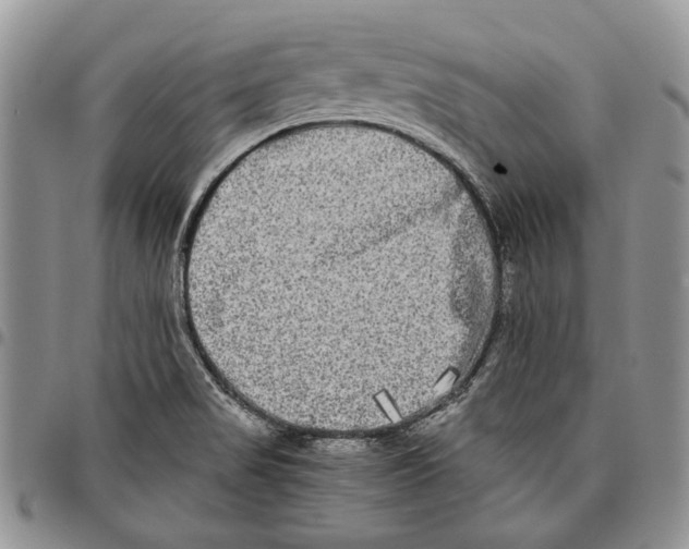 X0000096671517200803041210