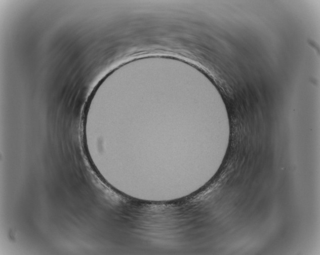 X0000096671518200803041210