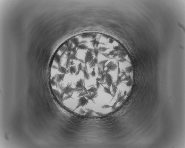 X0000096671519200803041211