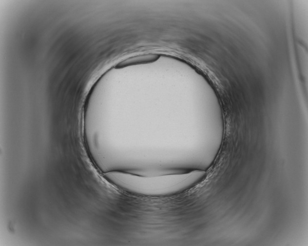 X0000096671520200803041211
