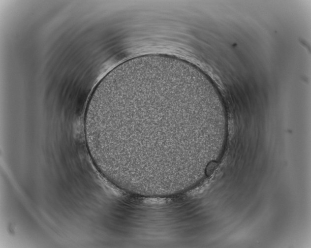 X0000096671521200803041211