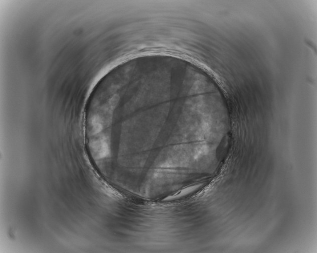 X0000096671522200803041211