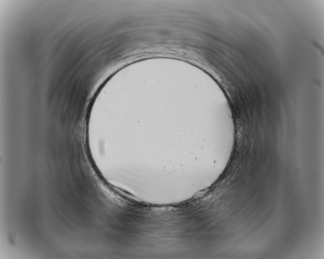 X0000096671523200803041211