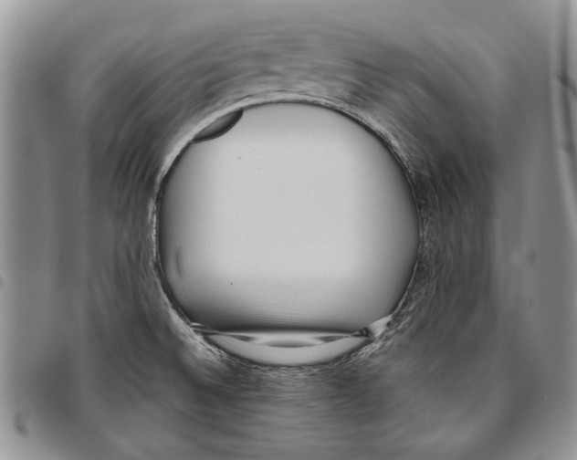 X0000096671524200803041211