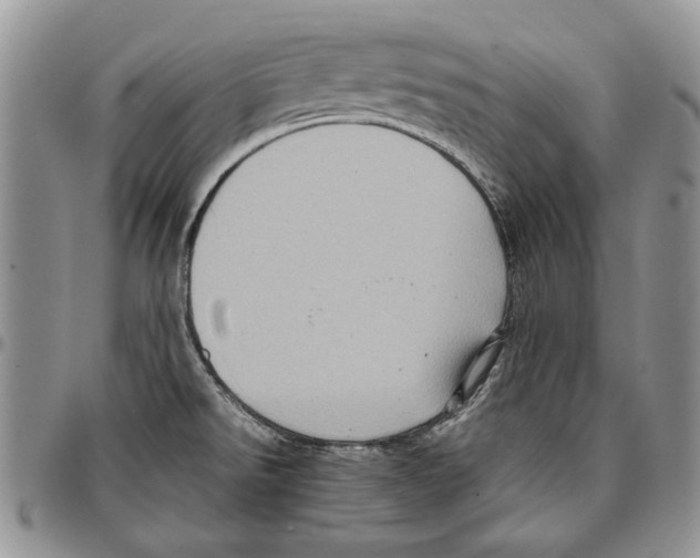 X0000096671526200803041211