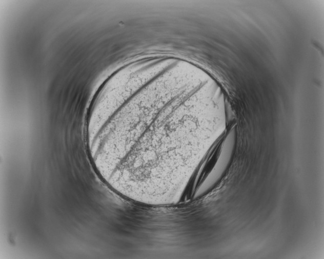 X0000096671527200803041211