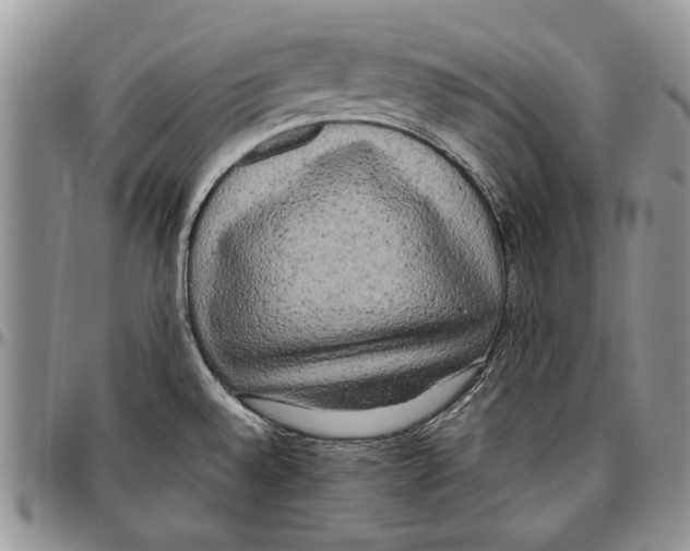 X0000096671528200803041211