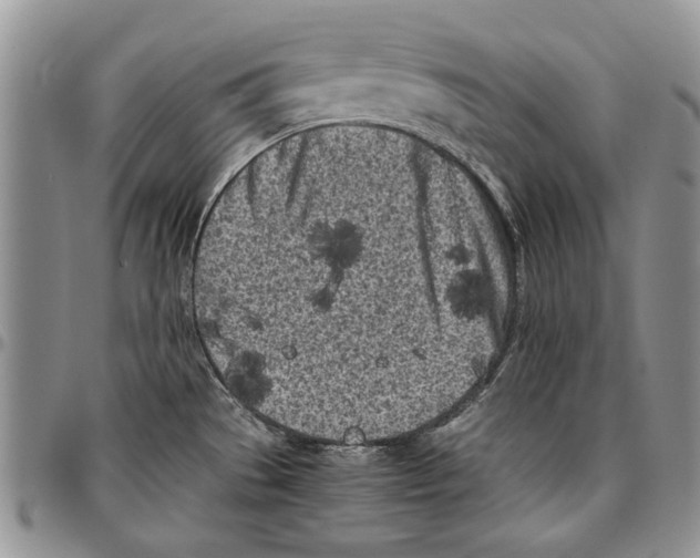 X0000096671529200803041211