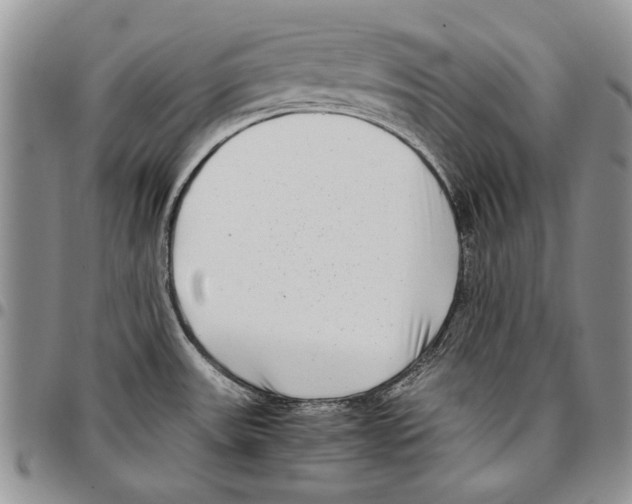 X0000096671531200803041211