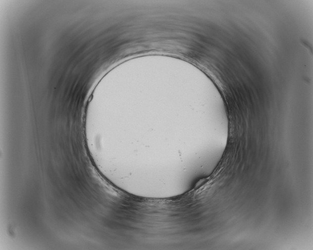 X0000096671532200803041211