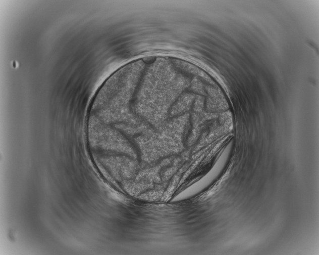 X0000096671533200803041211
