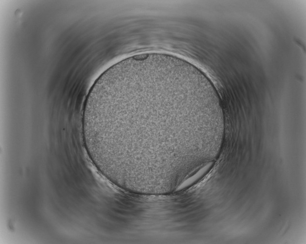X0000096671534200803041211