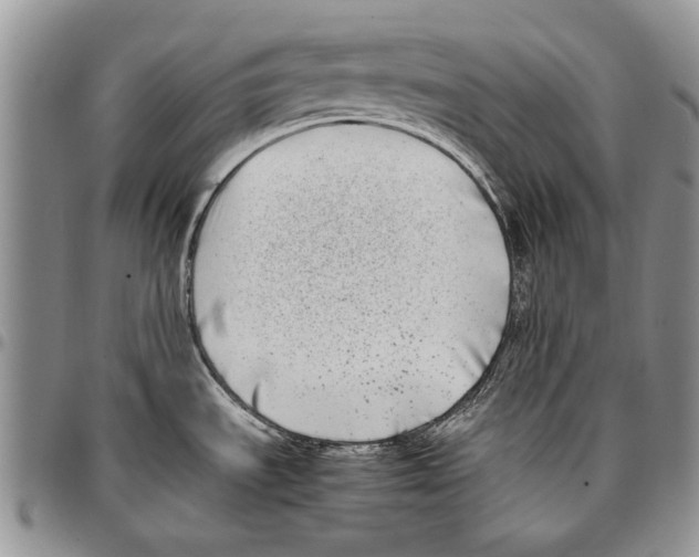 X0000096671535200803041211