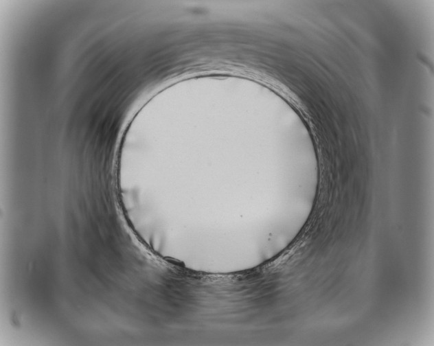 X0000096671536200803041211