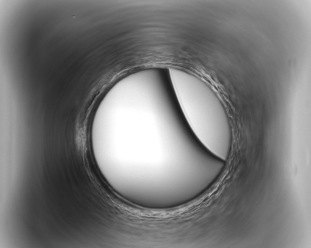 X0000096680002200802051039