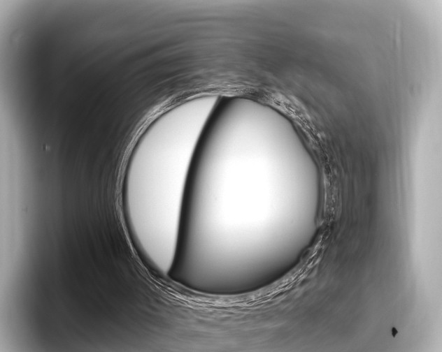 X0000096680003200802051039