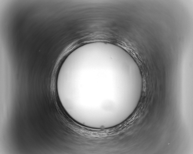 X0000096680004200802051039