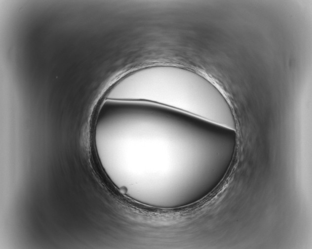 X0000096680008200802051039