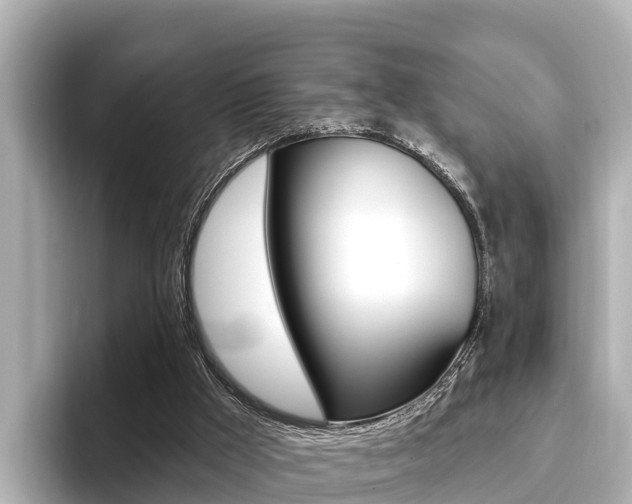 X0000096680009200802051039