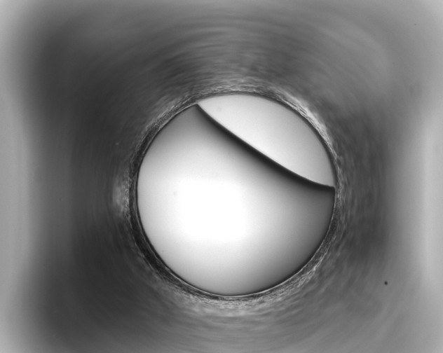 X0000096680010200802051039