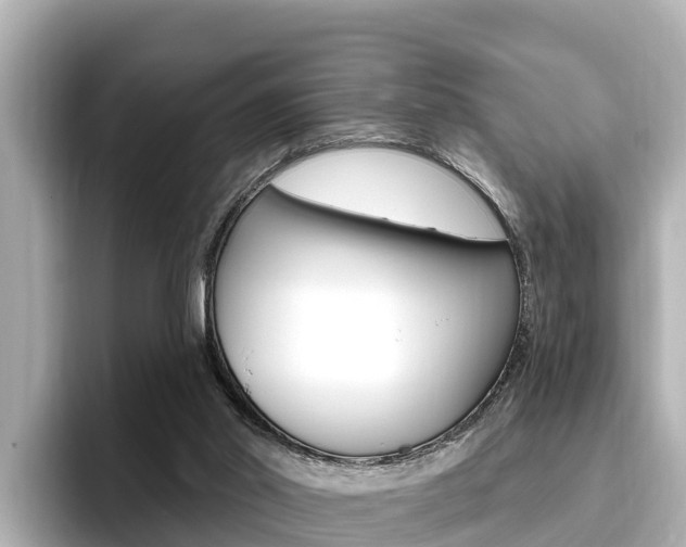 X0000096680014200802051039
