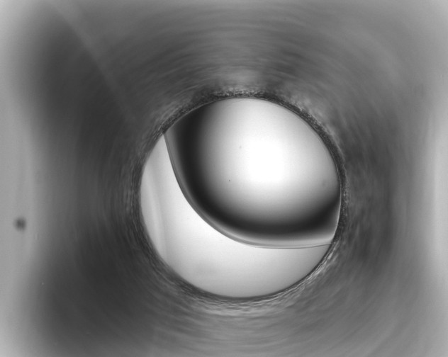 X0000096680017200802051039