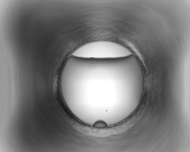 X0000096680018200802051039