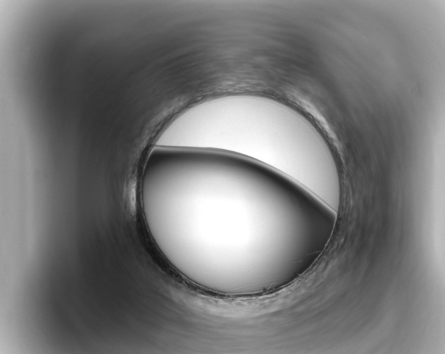 X0000096680019200802051039