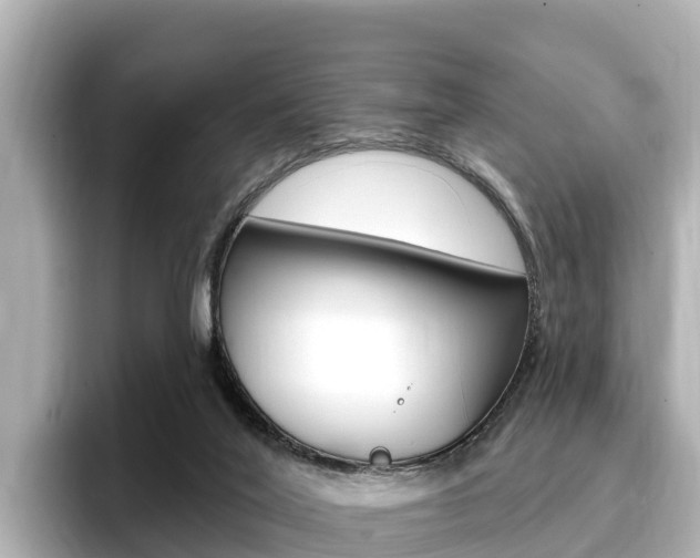 X0000096680020200802051039