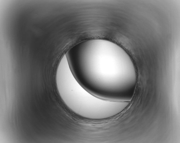 X0000096680021200802051039