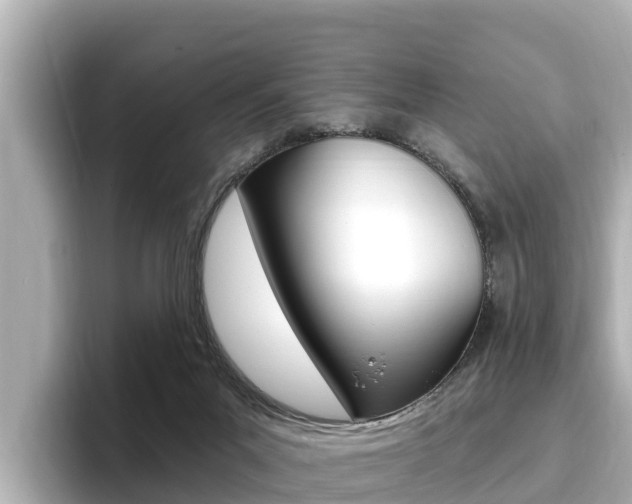 X0000096680023200802051039