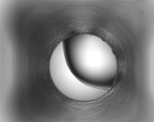 X0000096680029200802051039