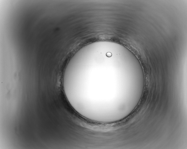 X0000096680032200802051039