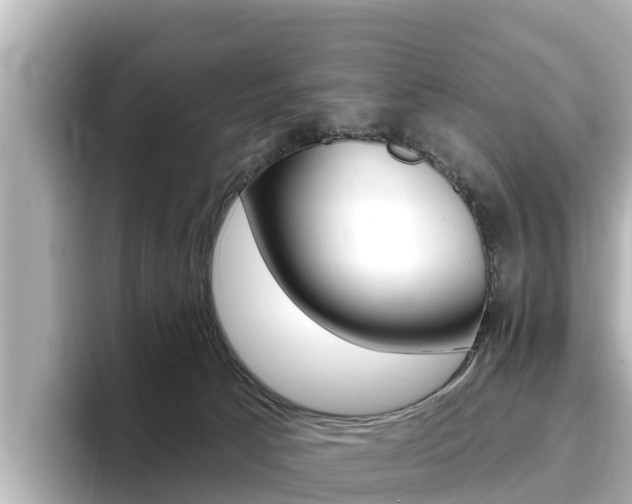 X0000096680033200802051039
