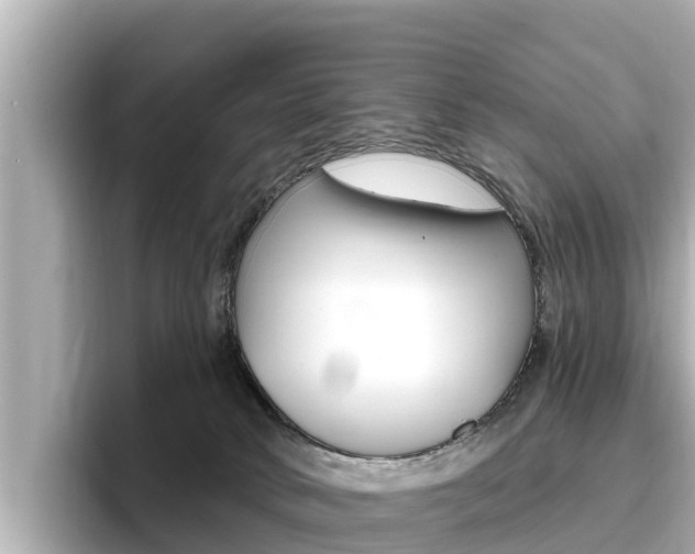X0000096680034200802051039