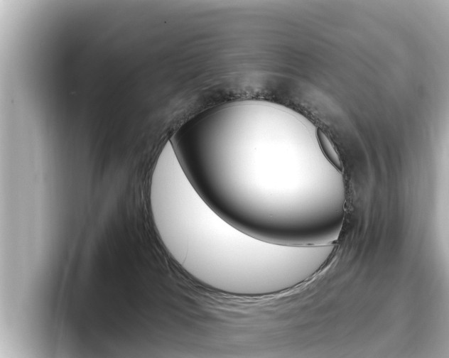 X0000096680037200802051038