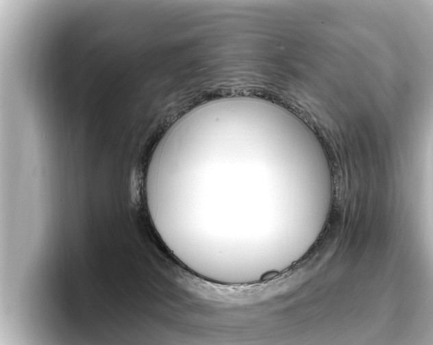 X0000096680038200802051038